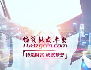 電子商務技術 現代商業(yè)的數字化引擎